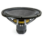 Subwoofer professionale Eighteen Sound 21NTLW5000