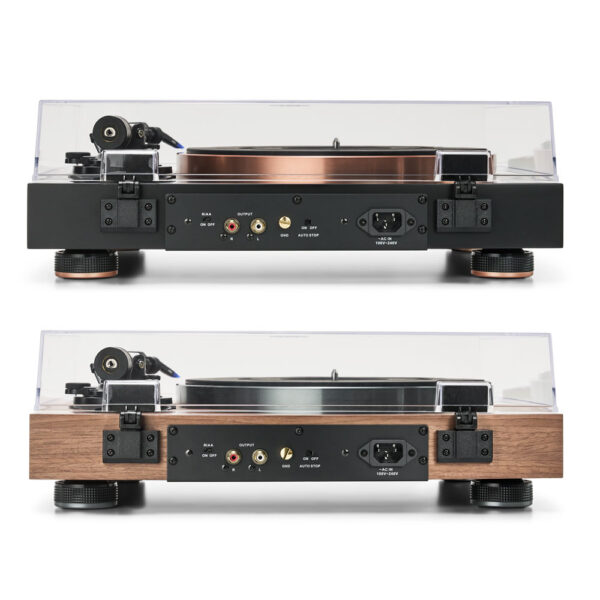 Argon Audio Aurora giradischi connessioni posteriori