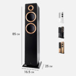 Diffusori attivi da pavimento Wi-Fi Argon Audio Forte A55