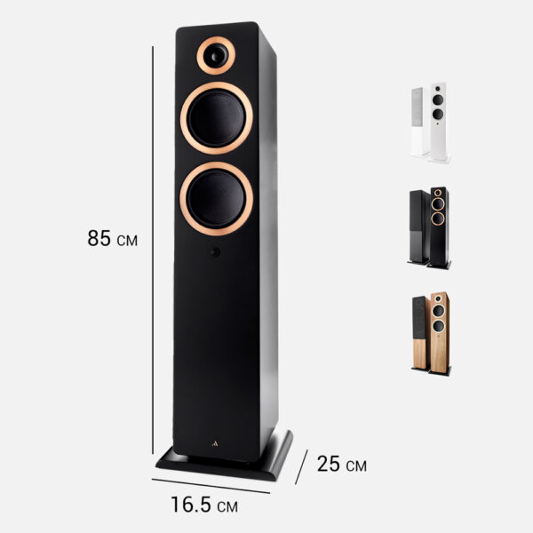 Argon-Audio-Forte-A55-WiFi-dimensioni Diffusori attivi da pavimento Wi-Fi Argon Audio Forte A55