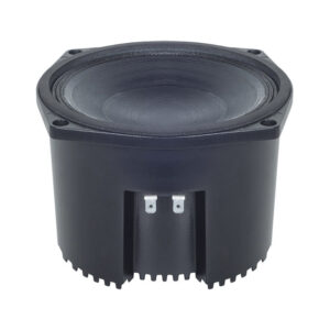 Midrange professionale sigillato B&C Speakers 6NSM51