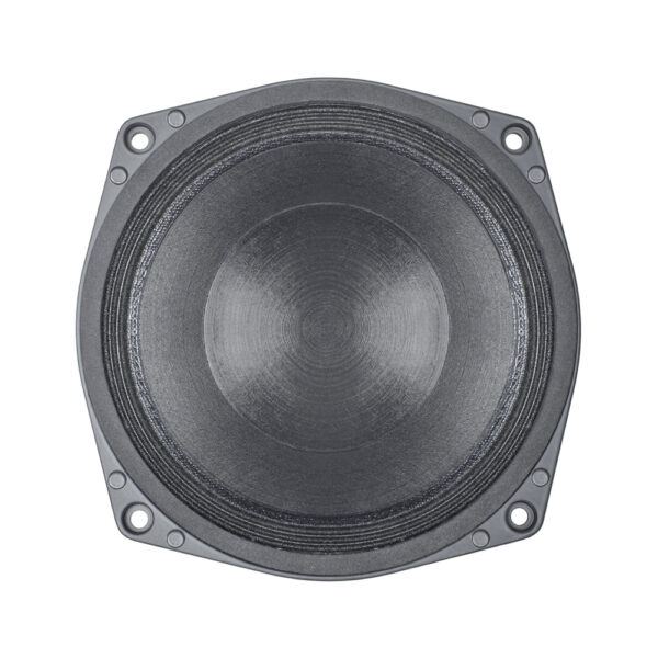 Midrange professionale sigillato B&C Speakers 6NSM51