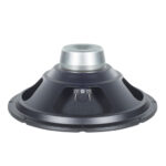 Woofer professionale B&C Speakers 10CL51