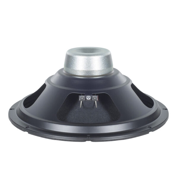 Woofer professionale B&C Speakers 10CL51