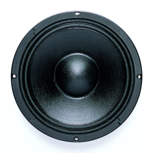 Woofer professionale B&C Speakers 10NW64