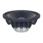Woofer professionale B&C Speakers 10NW76