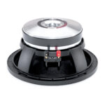 Woofer professionale B&C Speakers 10PS26