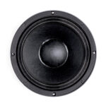 Woofer professionale B&C Speakers 10PS26