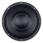 Woofer professionale B&C Speakers 12NBX100