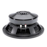 Subwoofer professionale B&C Speakers 12TBX100