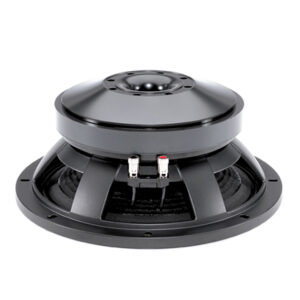 Subwoofer professionale B&C Speakers 12TBX100
