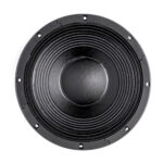 Subwoofer professionale B&C Speakers 12TBX100
