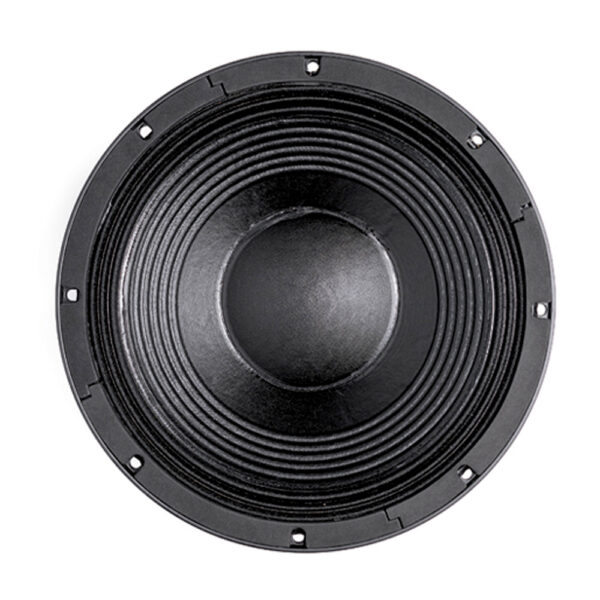 Subwoofer professionale B&C Speakers 12TBX100