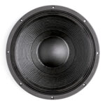 Subwoofer professionale B&C Speakers 15NW100