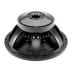 Subwoofer professionale B&C Speakers 15TBX100
