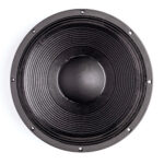 Subwoofer professionale B&C Speakers 15TBX100