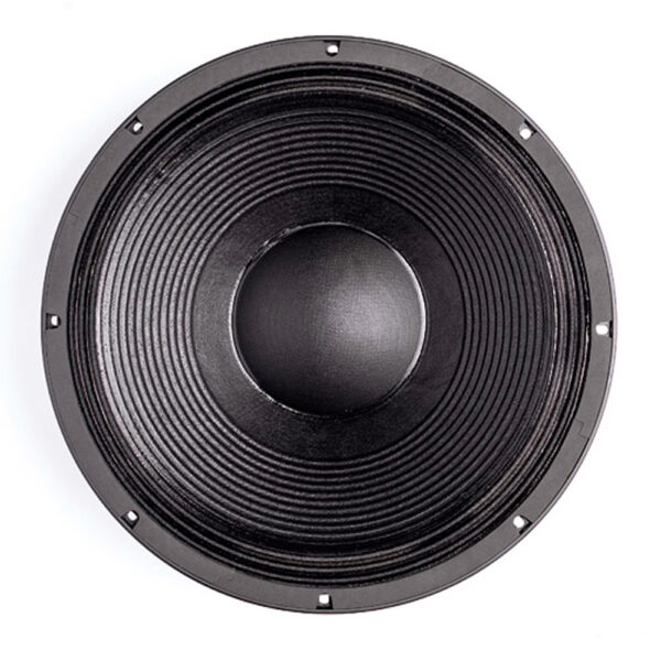 Subwoofer professionale B&C Speakers 15TBX100