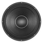 Subwoofer professionale B&C Speakers 18DS100