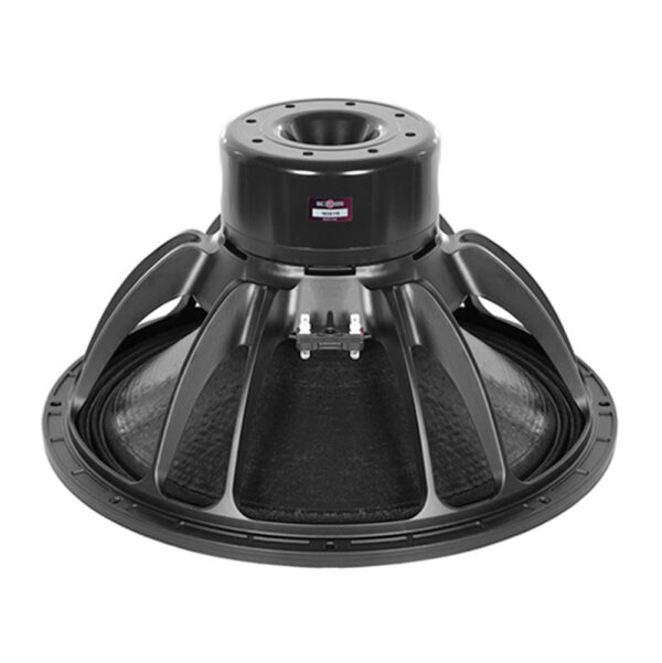 B&C-Speakers-18DS115 Subwoofer professionale B&C Speakers 18DS115