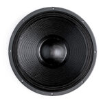 Subwoofer professionale B&C Speakers 18PS100