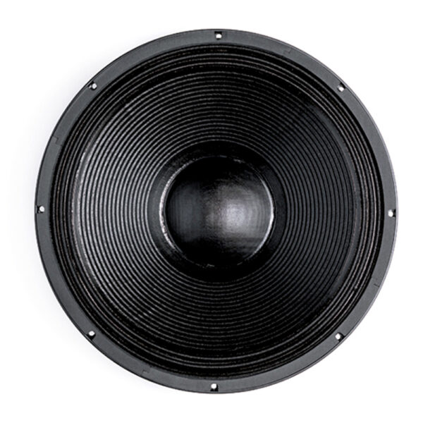 Subwoofer professionale B&C Speakers 18PS100