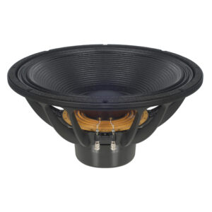 Subwoofer professionale B&C Speakers 18SW100