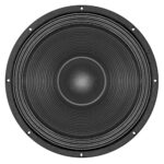 Subwoofer professionale B&C Speakers 18SW100