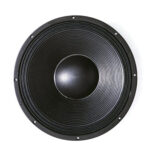 Subwoofer professionale B&C Speakers 18SW115