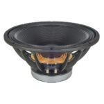 Subwoofer professionale B&C Speakers 18TBW100