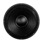 Subwoofer professionale B&C Speakers 18TBW100