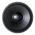 Subwoofer professionale B&C Speakers 21DS115