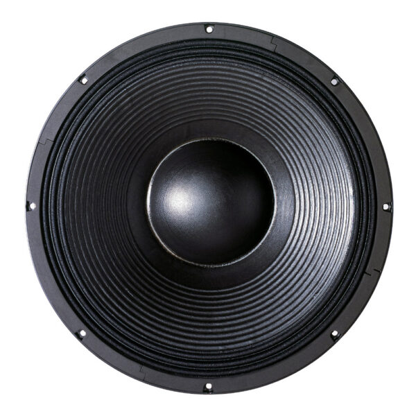 Subwoofer professionale B&C Speakers 21DS115