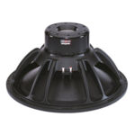 Subwoofer professionale B&C Speakers 21SW152