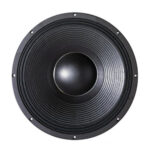 Subwoofer professionale B&C Speakers 21SW152