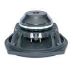 Woofer professionale B&C Speakers 6NDL38