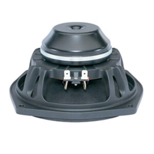 Woofer professionale B&C Speakers 6NDL38
