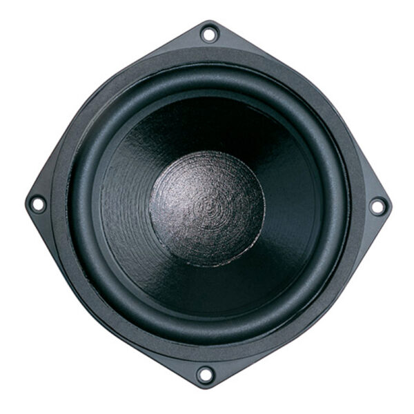 Woofer professionale B&C Speakers 6NDL38