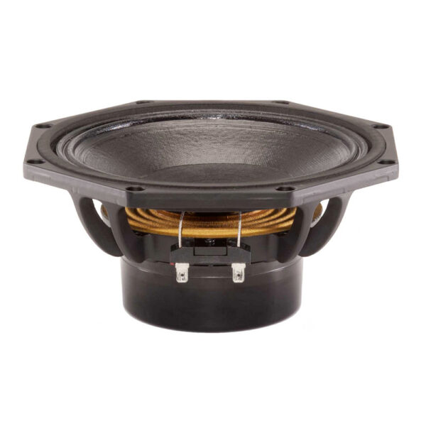 Woofer professionale B&C Speakers 8NDL64