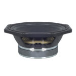 Woofer professionale B&C Speakers 8PS21