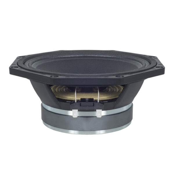 Woofer professionale B&C Speakers 8PS21