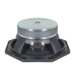 Woofer professionale B&C Speakers 8PS21