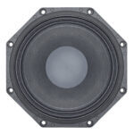 Woofer professionale B&C Speakers 8PS21