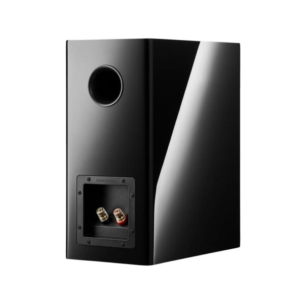 Diffusori da stand Dynaudio Evoke 20 audiofili a 2 vie