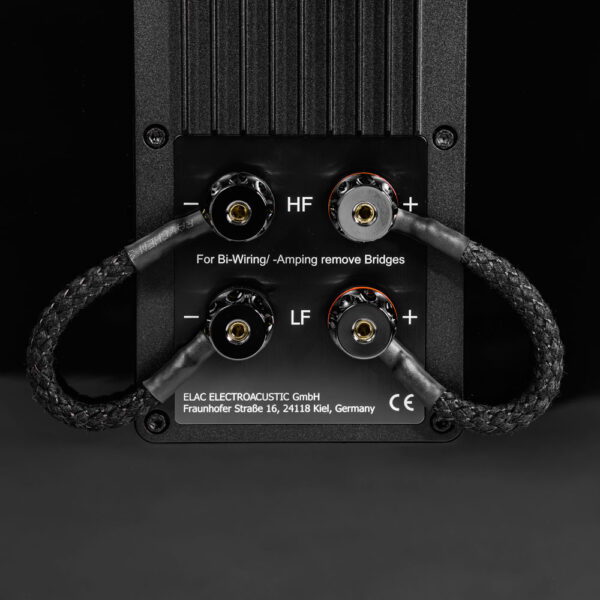 Diffusori da pavimento ELAC Concentro M 807 high-end