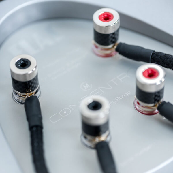 ELAC Concentro M diffusori da pavimento di riferimento