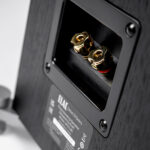 ELAC Debut 3.0 DF63 diffusori da pavimento
