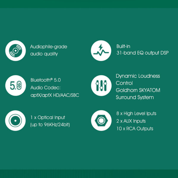 Processore audio DSP Goldhorn DSP 10 digitale 10 canali