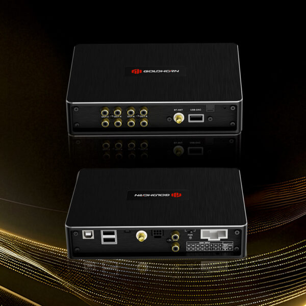 Goldhorn-P1-DSP Goldhorn P1 DSP player Hi-Res DSD con DSP
