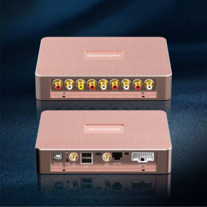 Goldhorn P1 DSPA processore audio di alta qualità