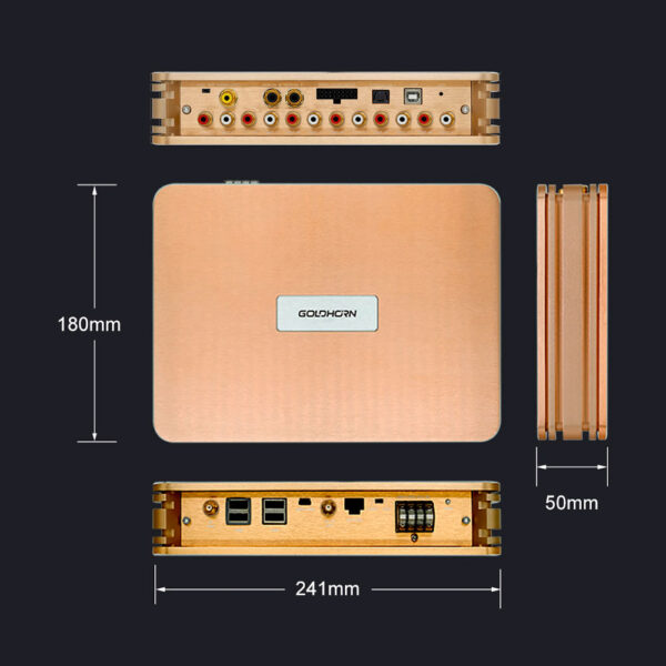 Goldhorn P2 DSP PRO V2 player DSP 12 canali